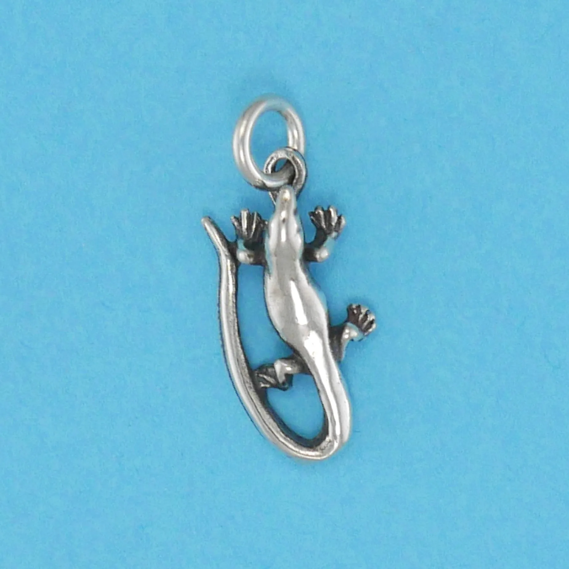 Microsculptures 0128 Skink Silver Charm