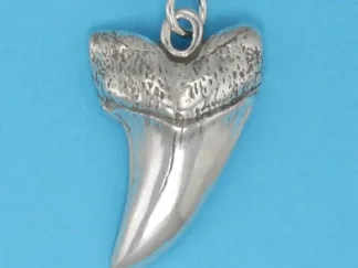 Microsculptures 0463 Shark Tooth Silver Pendant