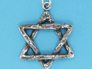 Microsculptures 0094 Textured Star Silver Pendant