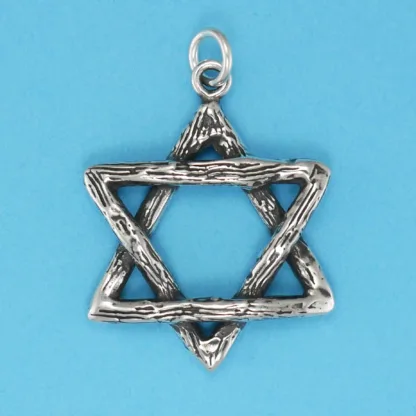 Microsculptures 0094 Textured Star Silver Pendant