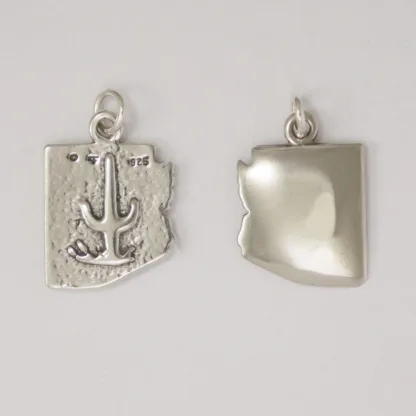 Microsculptures 1474 Arizona Silver Charm - Image 2