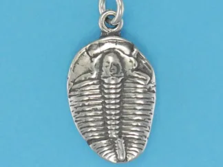 Microsculptures 0257 Trilobite Fossil Silver Charm